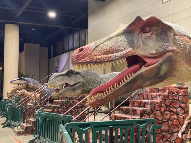 Dinosaurs visitors can ride at Jurassic Quest